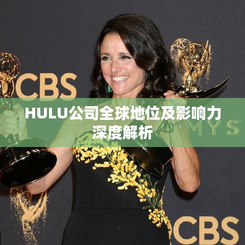 HULU公司全球地位及影响力深度解析