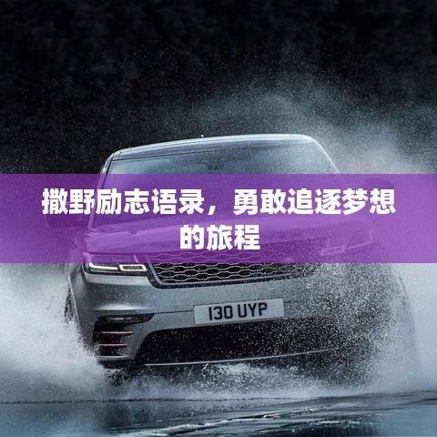 撒野励志语录，勇敢追逐梦想的旅程