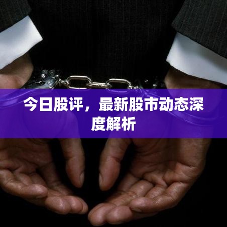 今日股评，最新股市动态深度解析