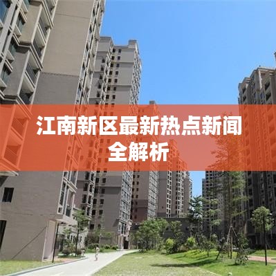 江南新区最新热点新闻全解析