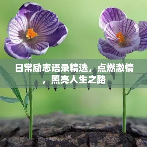 日常励志语录精选，点燃激情，照亮人生之路