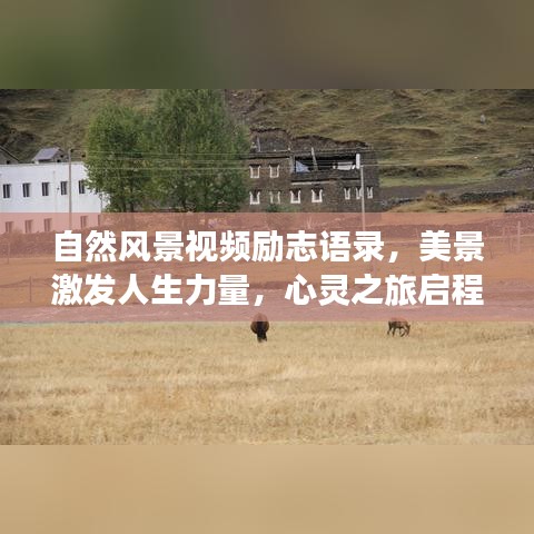 自然风景视频励志语录，美景激发人生力量，心灵之旅启程！