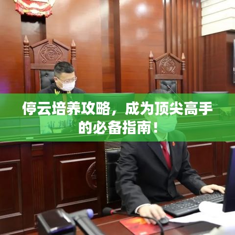 停云培养攻略，成为顶尖高手的必备指南！