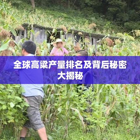 全球高粱产量排名及背后秘密大揭秘