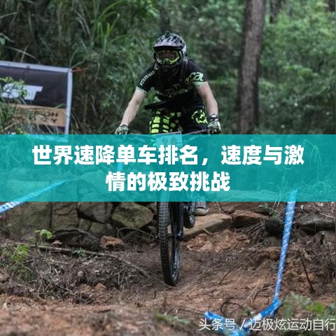 世界速降单车排名,速度与激情的极致挑战