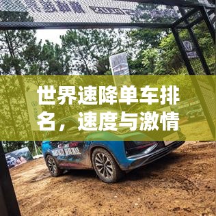 世界速降单车排名，速度与激情的极致挑战