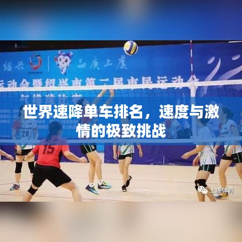 世界速降单车排名,速度与激情的极致挑战