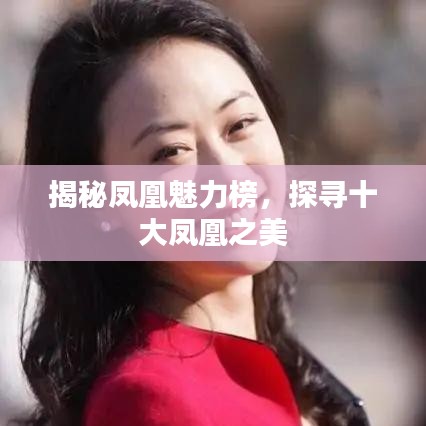 揭秘凤凰魅力榜，探寻十大凤凰之美