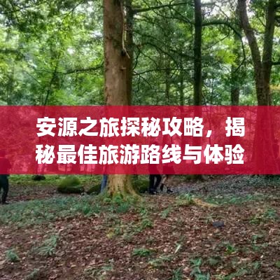 安源之旅探秘攻略，揭秘最佳旅游路线与体验大全