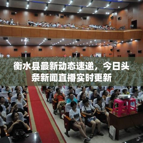 朴素无华 第5页