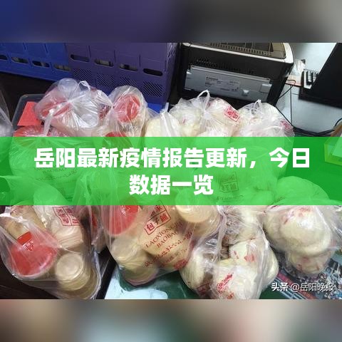 岳阳最新疫情报告更新，今日数据一览
