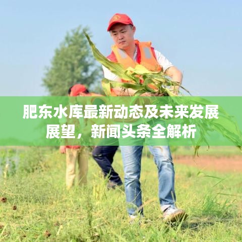 肥东水库最新动态及未来发展展望，新闻头条全解析