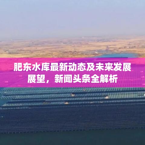 肥东水库最新动态及未来发展展望,新闻头条全解析