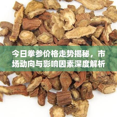 今日拳参价格走势揭秘，市场动向与影响因素深度解析