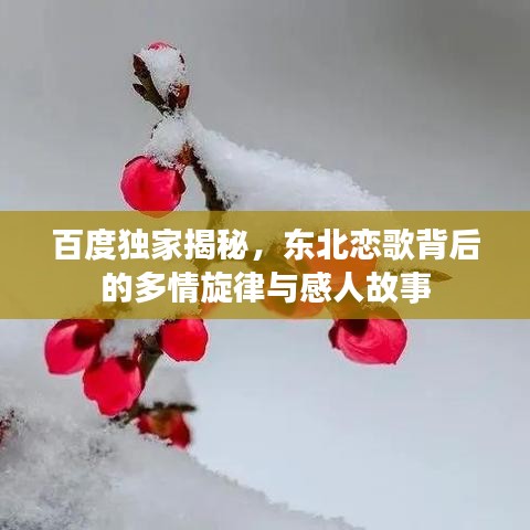 百度独家揭秘，东北恋歌背后的多情旋律与感人故事