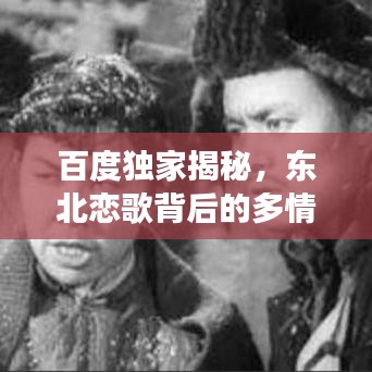 百度独家揭秘,东北恋歌背后的多情旋律与感人故事