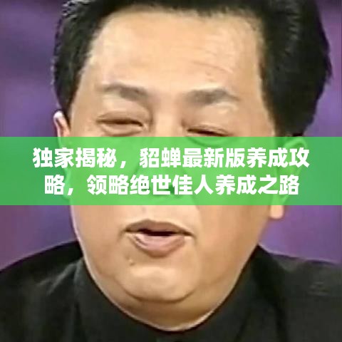 独家揭秘，貂蝉最新版养成攻略，领略绝世佳人养成之路