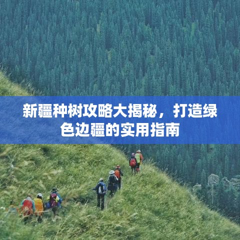 新疆种树攻略大揭秘，打造绿色边疆的实用指南