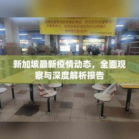 革新变旧 第5页