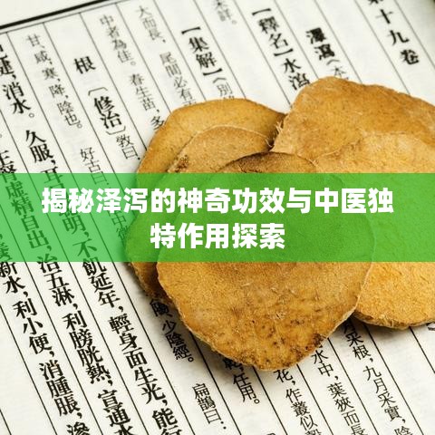 揭秘泽泻的神奇功效与中医独特作用探索