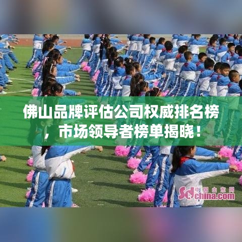 佛山品牌评估公司权威排名榜，市场领导者榜单揭晓！