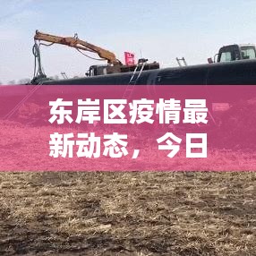 东岸区疫情最新动态，今日情况及应对策略权威通报
