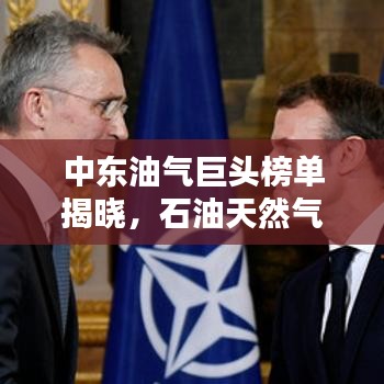 中东油气巨头榜单揭晓，石油天然气公司排名揭秘