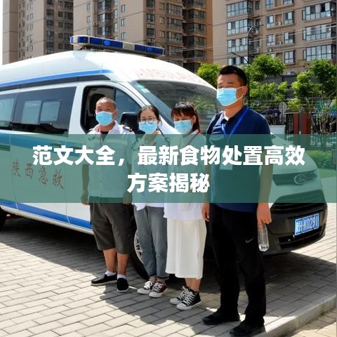 范文大全，最新食物处置高效方案揭秘