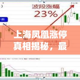 上海凤凰涨停真相揭秘,最新新闻深度剖析背后原因