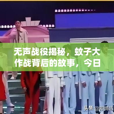 无声战役揭秘，蚊子大作战背后的故事，今日头条独家报道