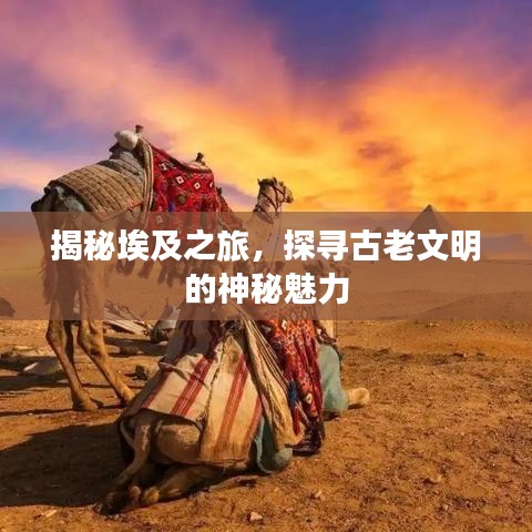 揭秘埃及之旅，探寻古老文明的神秘魅力