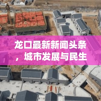 龙口最新新闻头条,城市发展与民生改善同步前行