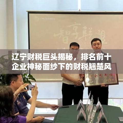 辽宁财税巨头揭秘，排名前十企业神秘面纱下的财税翘楚风采