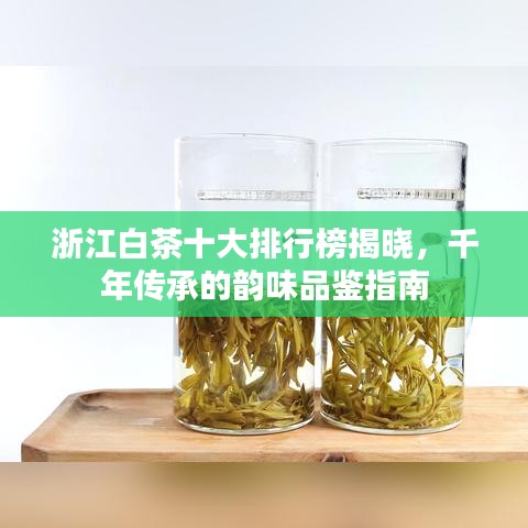 浙江白茶十大排行榜揭晓，千年传承的韵味品鉴指南
