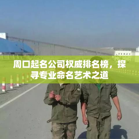 周口起名公司权威排名榜，探寻专业命名艺术之道