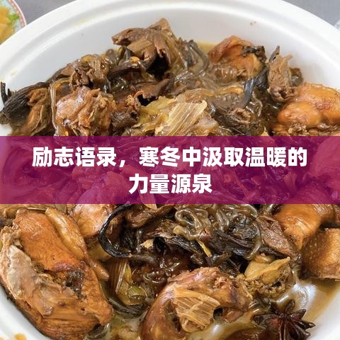 励志语录，寒冬中汲取温暖的力量源泉