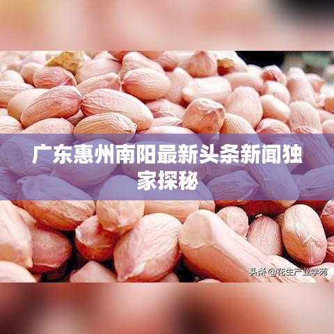 广东惠州南阳最新头条新闻独家探秘