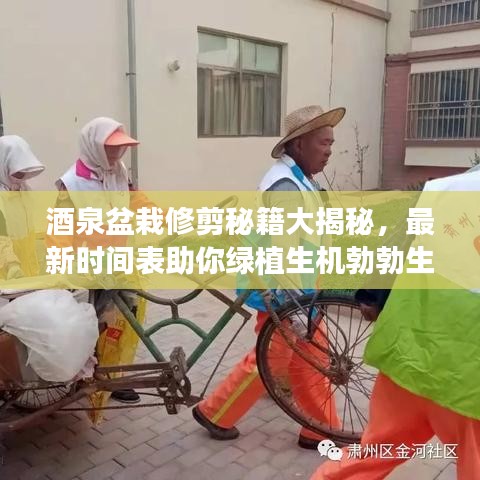 酒泉盆栽修剪秘籍大揭秘，最新时间表助你绿植生机勃勃生长！