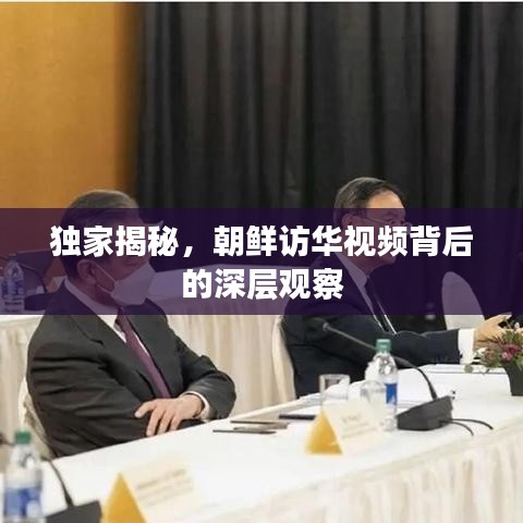 独家揭秘，朝鲜访华视频背后的深层观察