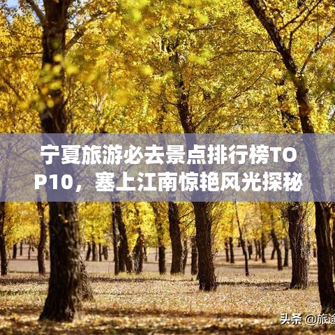 宁夏旅游必去景点排行榜TOP10，塞上江南惊艳风光探秘