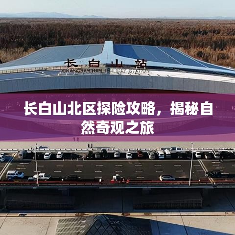 长白山北区探险攻略，揭秘自然奇观之旅