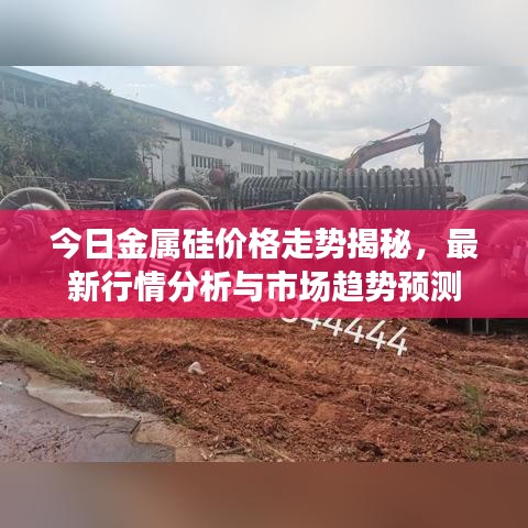 今日金属硅价格走势揭秘，最新行情分析与市场趋势预测