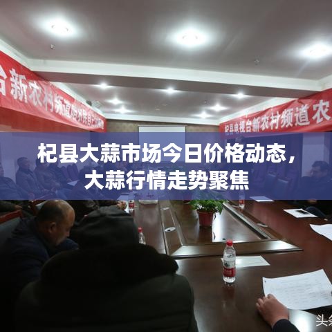 杞县大蒜市场今日价格动态，大蒜行情走势聚焦