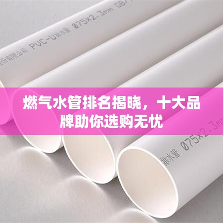 燃气水管排名揭晓，十大品牌助你选购无忧