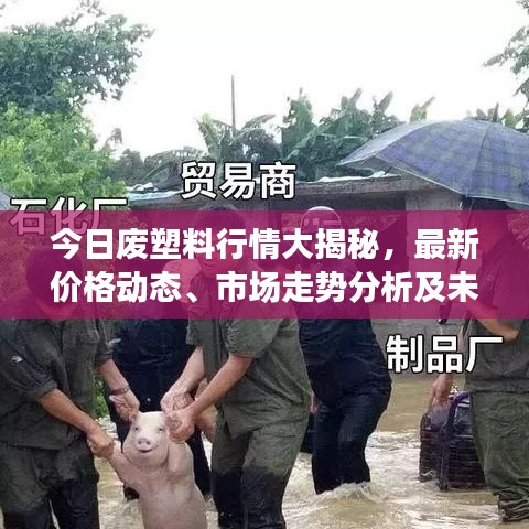 今日废塑料行情大揭秘，最新价格动态、市场走势分析及未来展望！