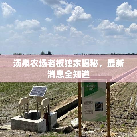 汤泉农场老板独家揭秘，最新消息全知道