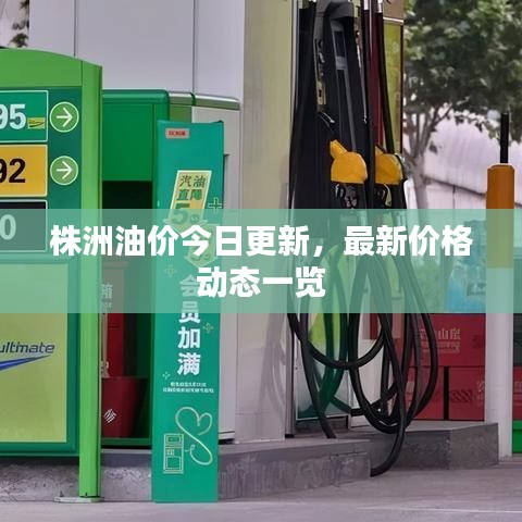 株洲油价今日更新，最新价格动态一览