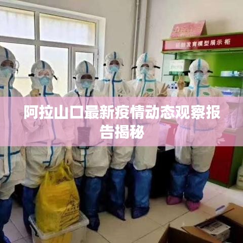 阿拉山口最新疫情动态观察报告揭秘