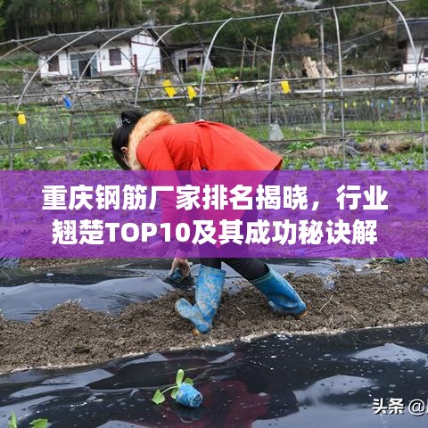 重庆钢筋厂家排名揭晓，行业翘楚TOP10及其成功秘诀解读