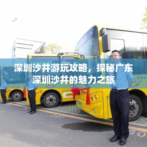 深圳沙井游玩攻略，探秘广东深圳沙井的魅力之旅